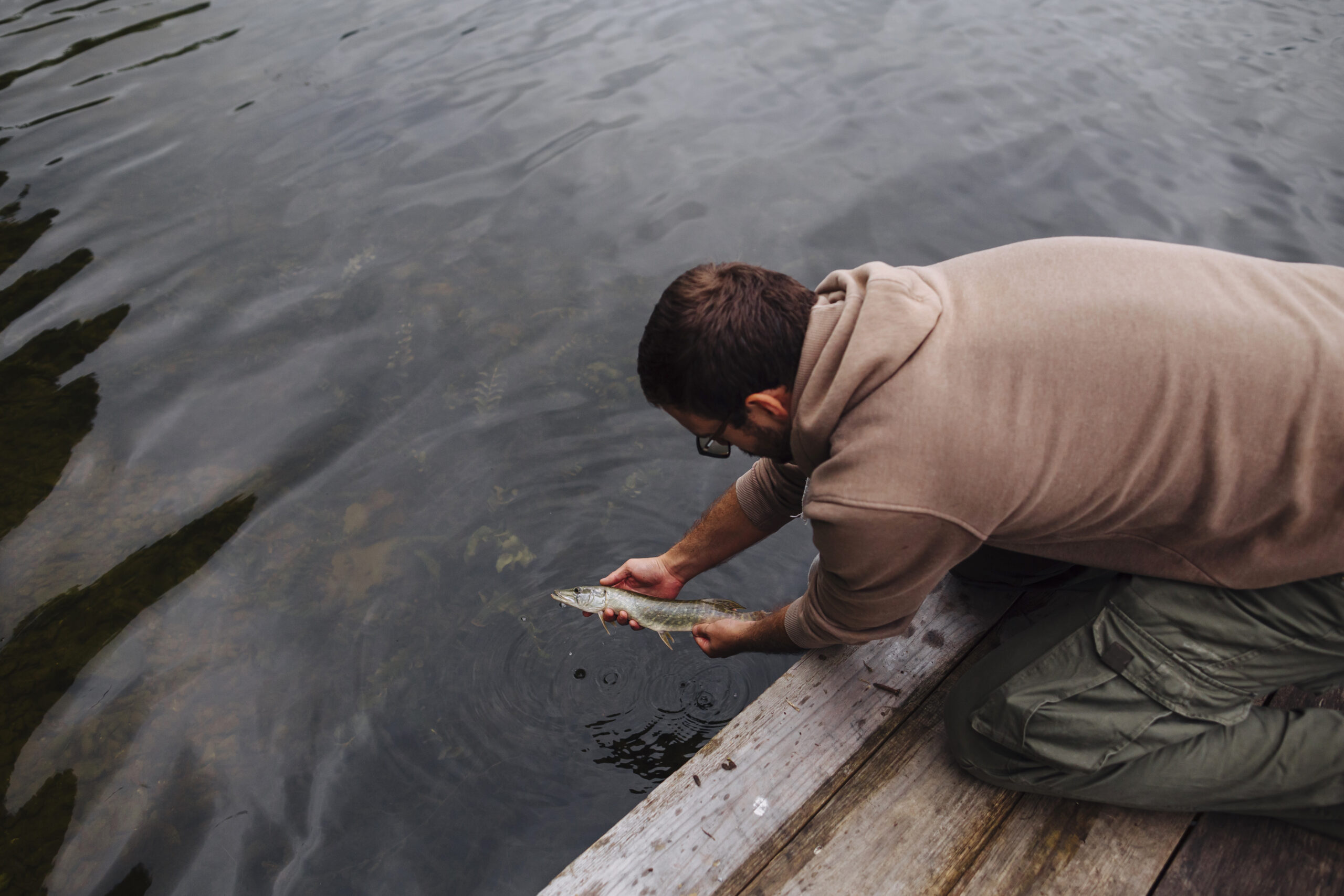 Como Praticar o Pesque e Solte Corretamente: Guia Completo para Pesca Sustentável