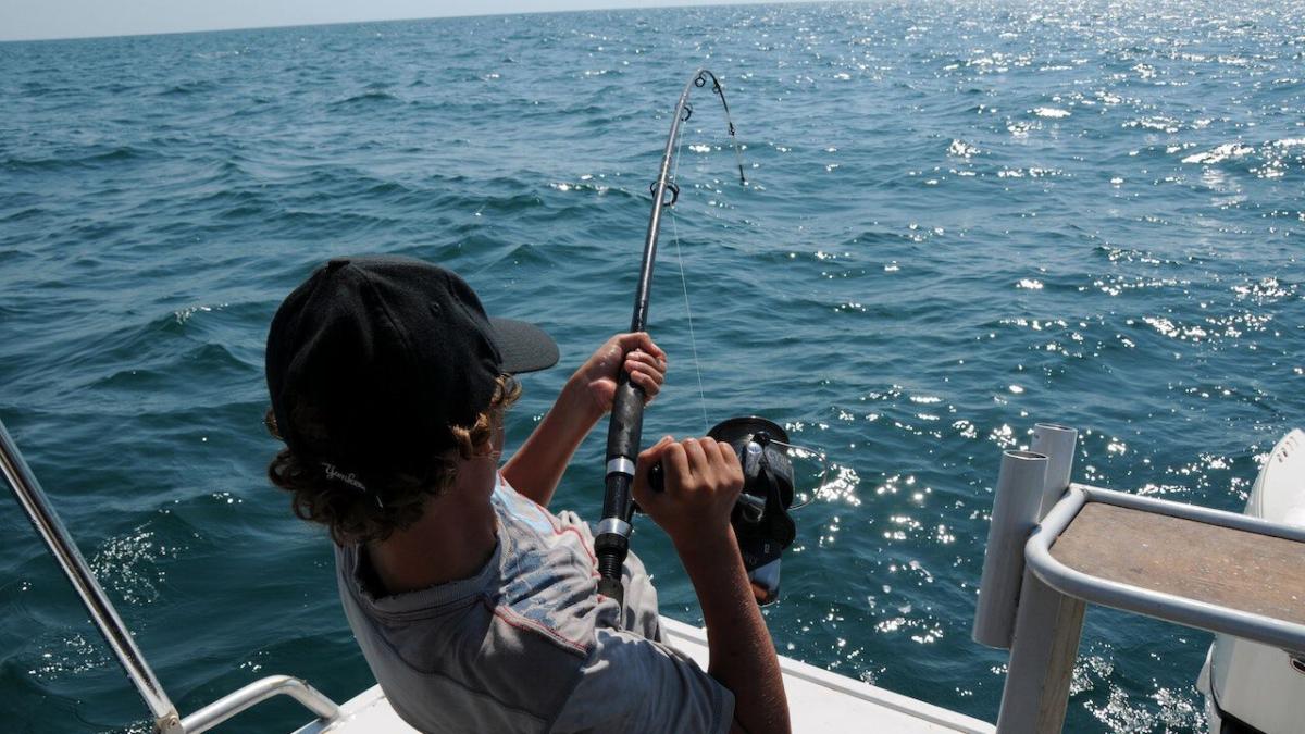 Peixe na Água Salgada