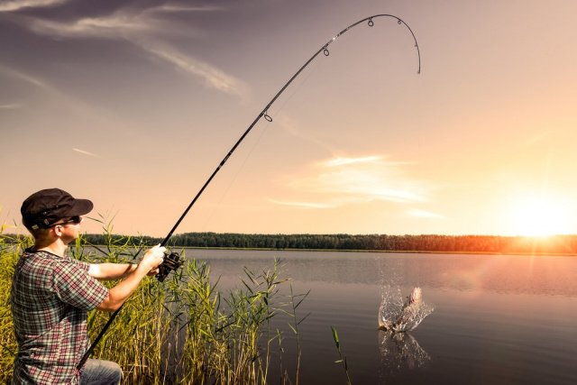 Pesca na Vegetação