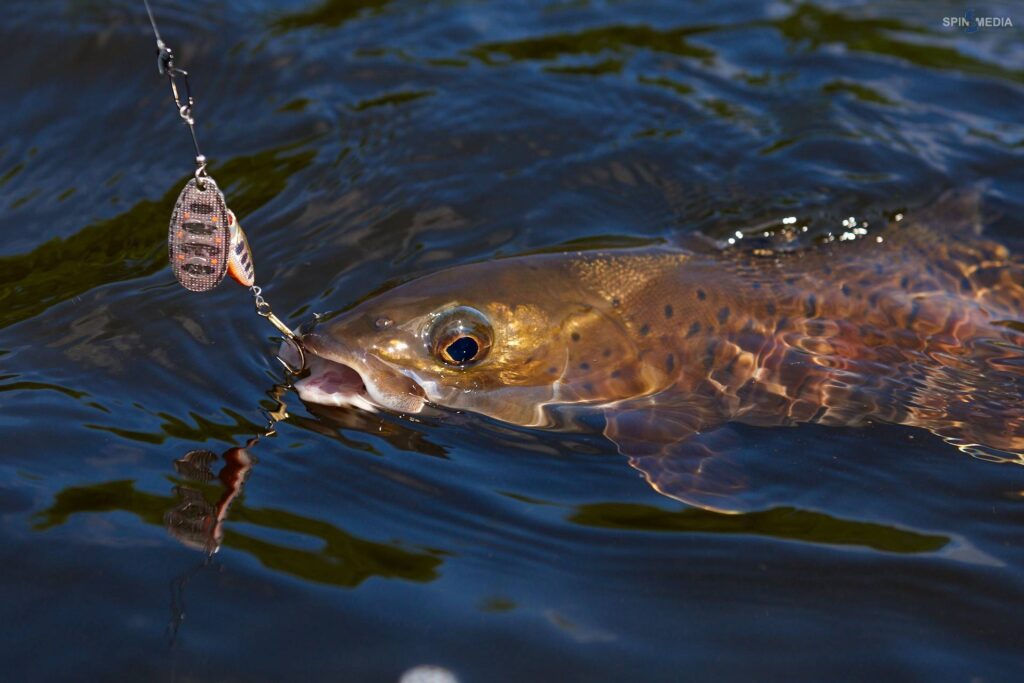 O que é Pesca Esportiva?