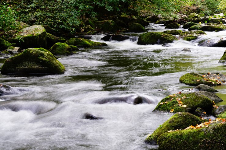 Como Capturar Peixes em Rios com Correnteza Forte