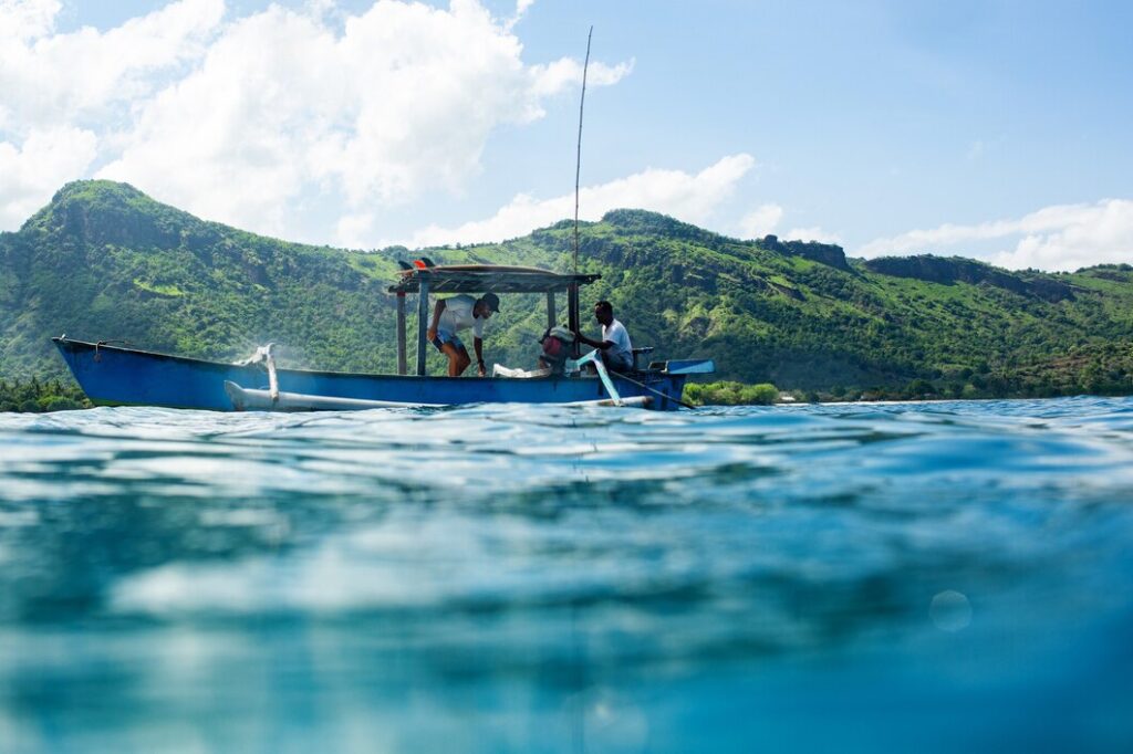 Como Começar na Pesca Vertical